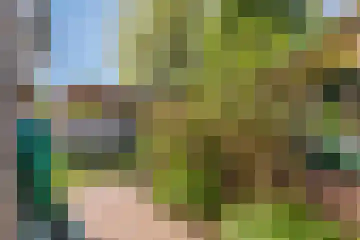 Steenbakkersstraat 48 Krimpen aan den IJssel thumbnail 28