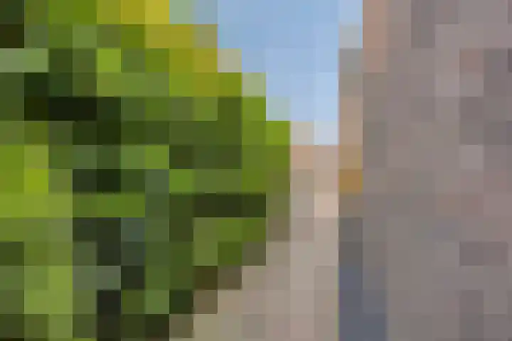 Steenbakkersstraat 48 Krimpen aan den IJssel thumbnail 29