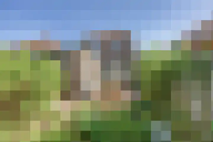 Steenbakkersstraat 48 Krimpen aan den IJssel thumbnail 31