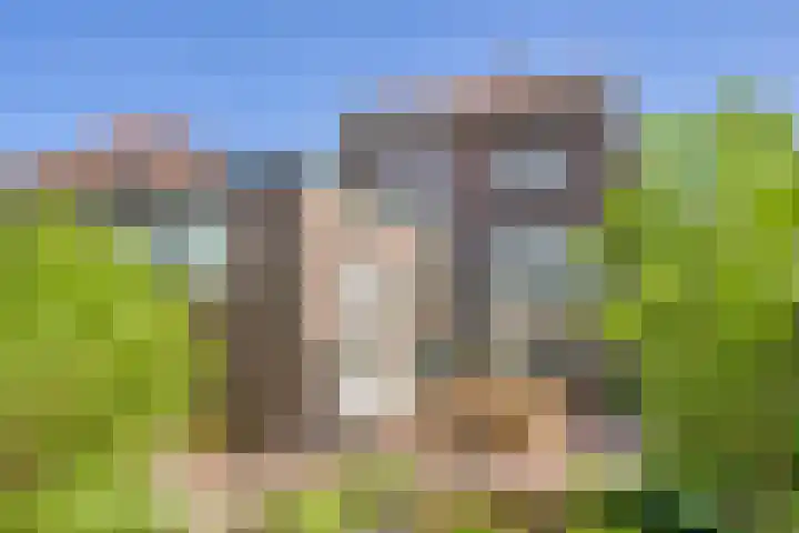 Steenbakkersstraat 48 Krimpen aan den IJssel thumbnail 32