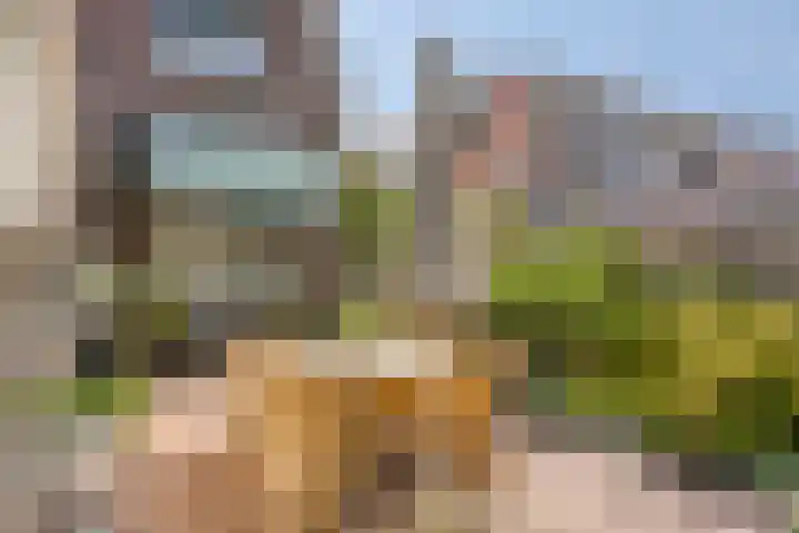 Steenbakkersstraat 48 Krimpen aan den IJssel thumbnail 33