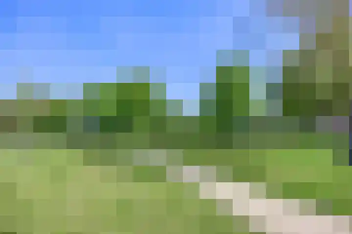 Steenbakkersstraat 48 Krimpen aan den IJssel thumbnail 42