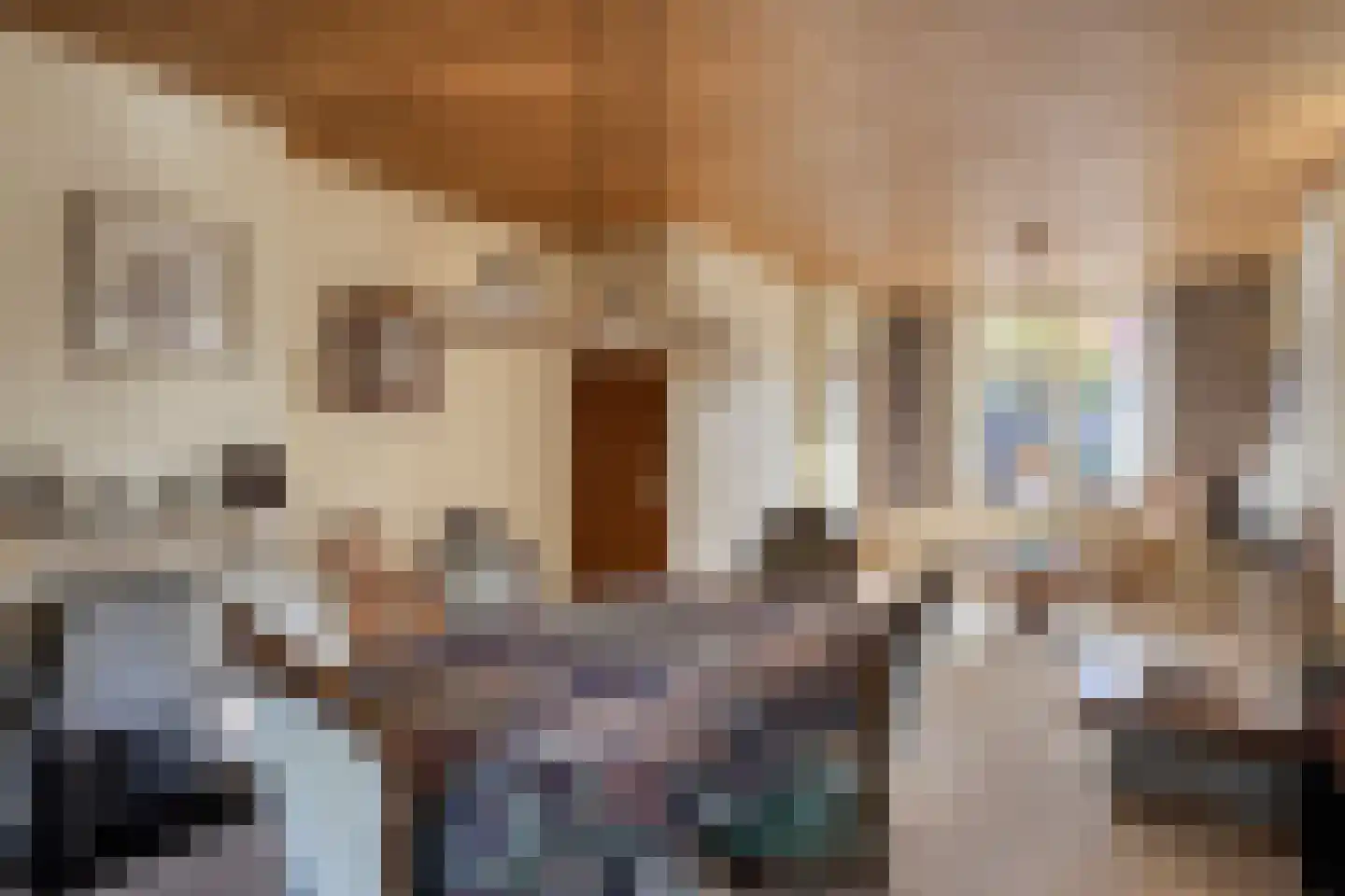 Steenbakkersstraat 52 Krimpen aan den IJssel thumbnail 10