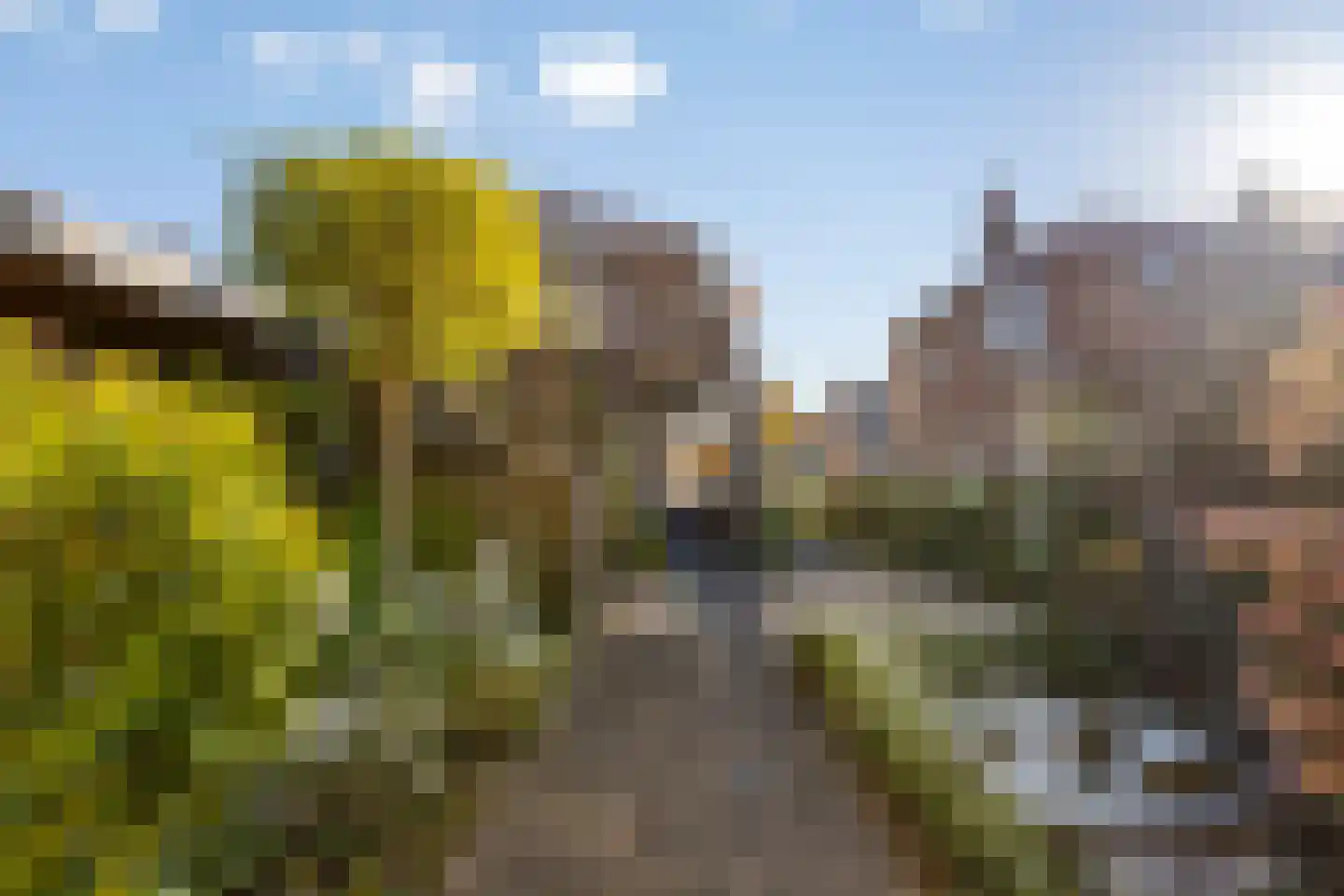 Steenbakkersstraat 52 Krimpen aan den IJssel thumbnail 23