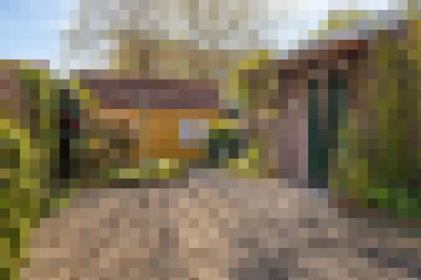 Steenbakkersstraat 52 Krimpen aan den IJssel thumbnail 24