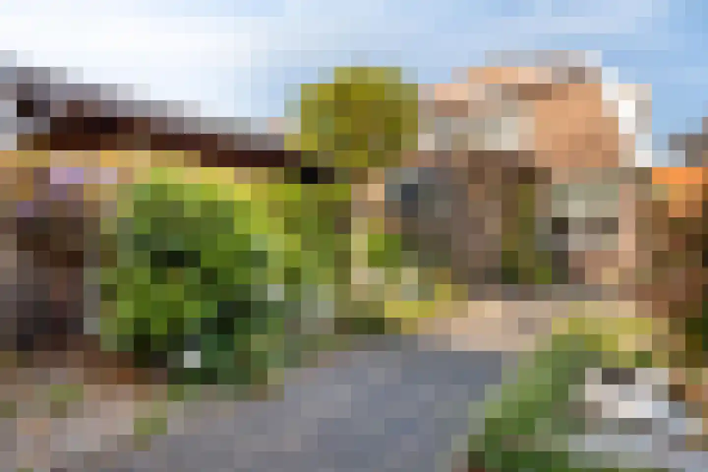 Steenbakkersstraat 52 Krimpen aan den IJssel thumbnail 29
