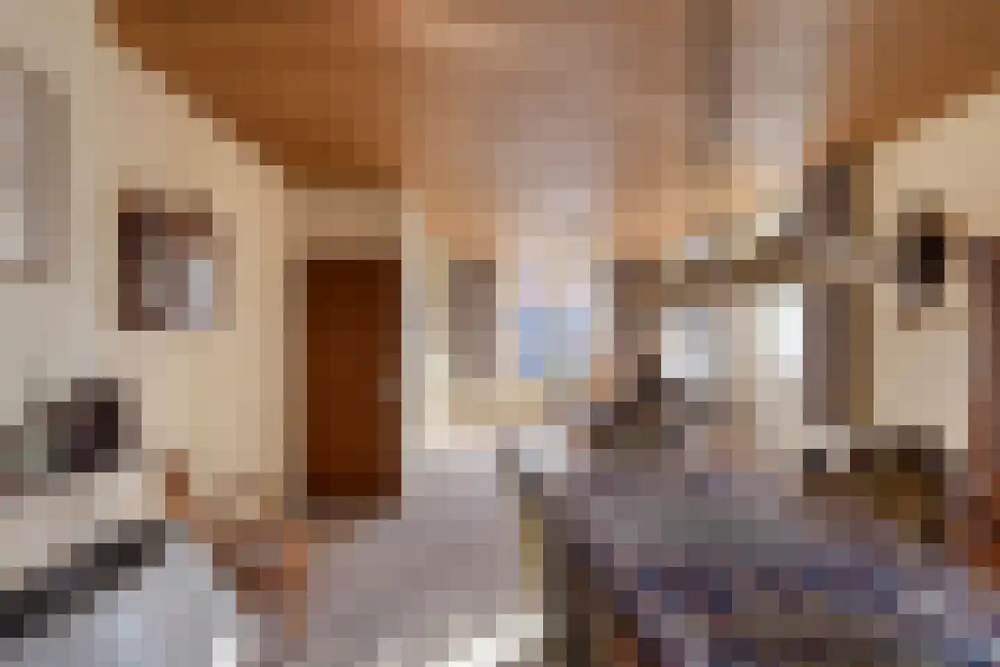 Steenbakkersstraat 52 Krimpen aan den IJssel thumbnail 7