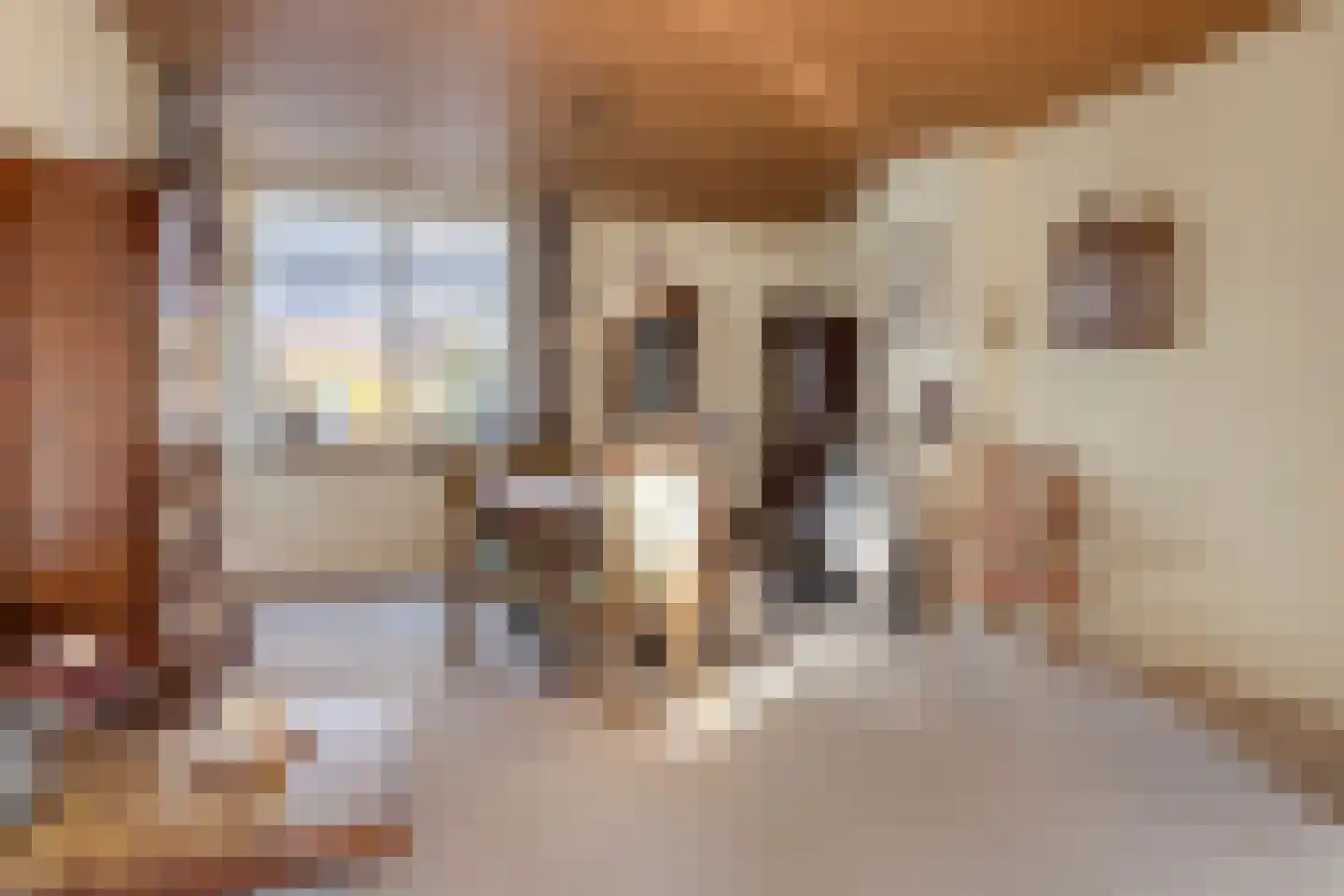 Steenbakkersstraat 52 Krimpen aan den IJssel thumbnail 8
