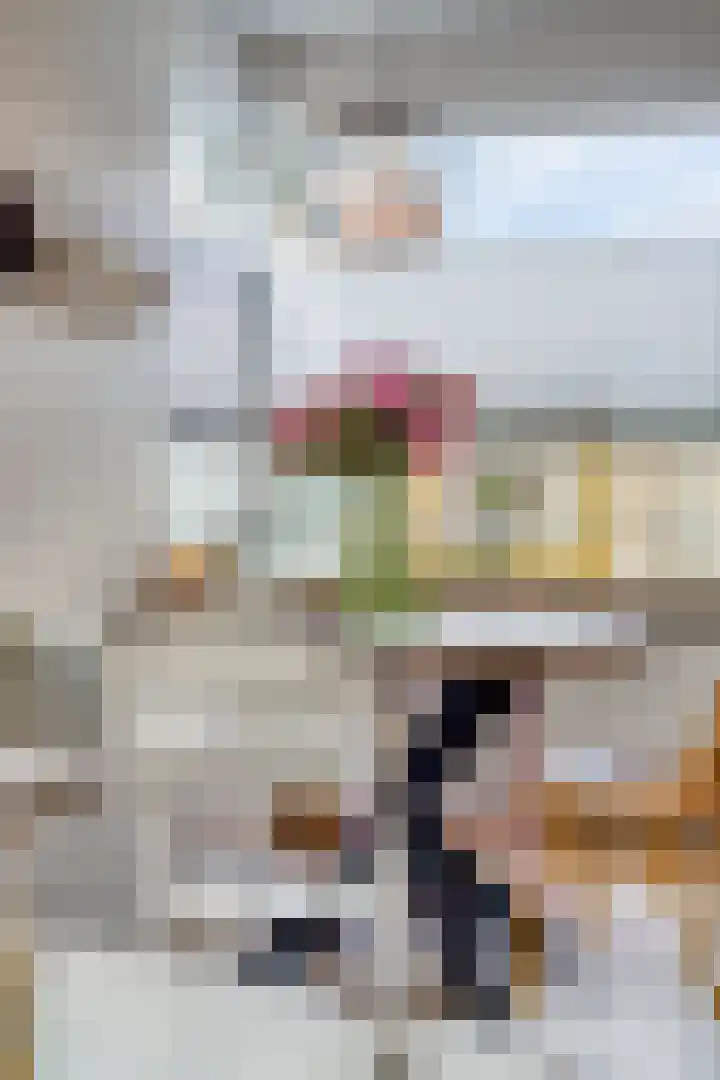 Steenbakkersstraat 53 Krimpen aan den IJssel thumbnail 13