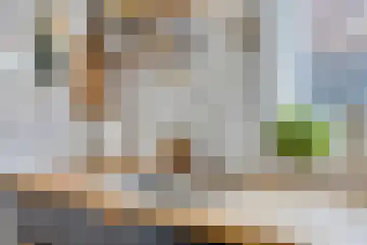Steenbakkersstraat 53 Krimpen aan den IJssel thumbnail 16