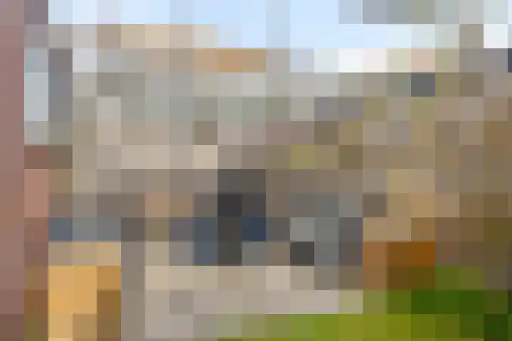 Steenbakkersstraat 53 Krimpen aan den IJssel thumbnail 31