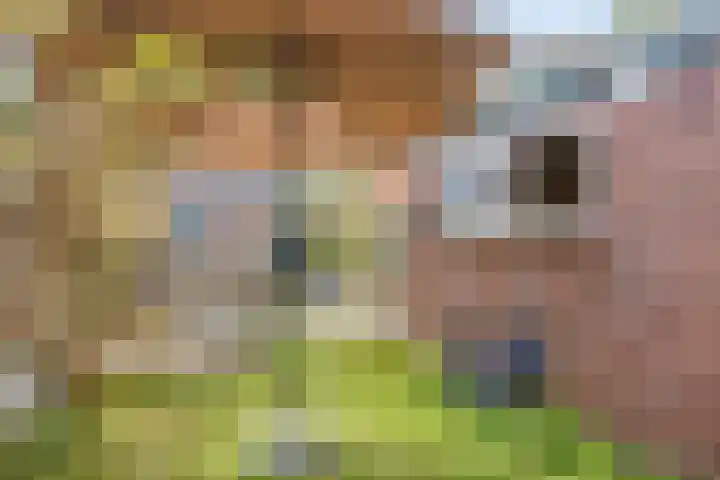 Steenbakkersstraat 53 Krimpen aan den IJssel thumbnail 32