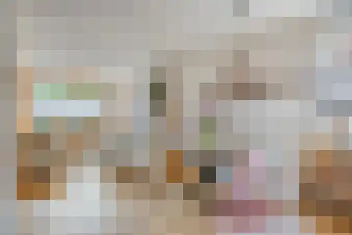 Steenbakkersstraat 53 Krimpen aan den IJssel thumbnail 5