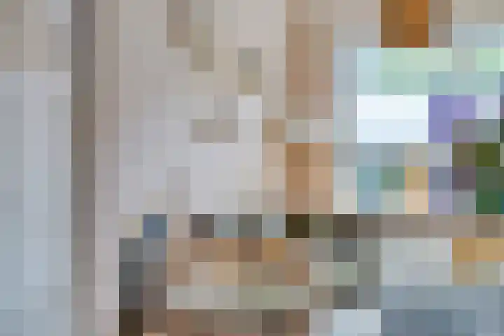 Steenbakkersstraat 53 Krimpen aan den IJssel thumbnail 9