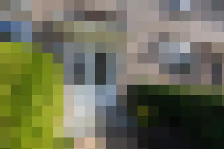 Steenbakkersveld 58 Wehl thumbnail 10
