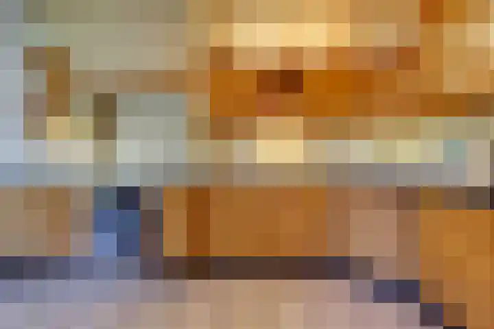 Steenbakkersveld 58 Wehl thumbnail 25