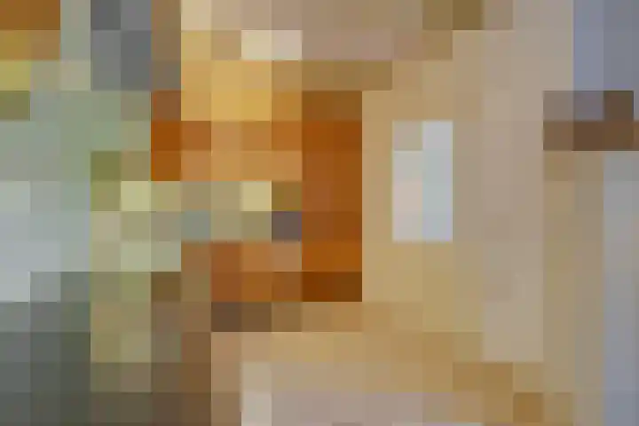 Steenbakkersveld 58 Wehl thumbnail 27
