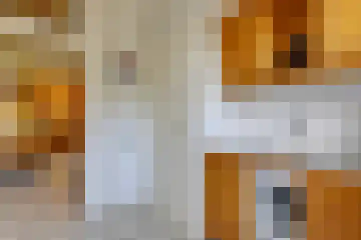 Steenbakkersveld 58 Wehl thumbnail 30