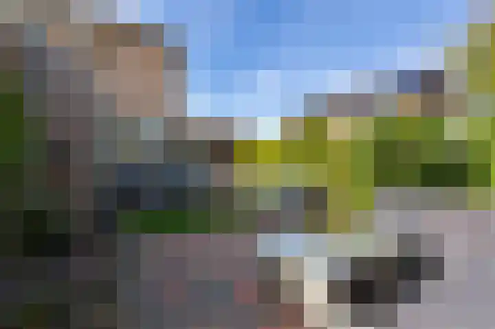 Steenbakkersveld 58 Wehl thumbnail 32