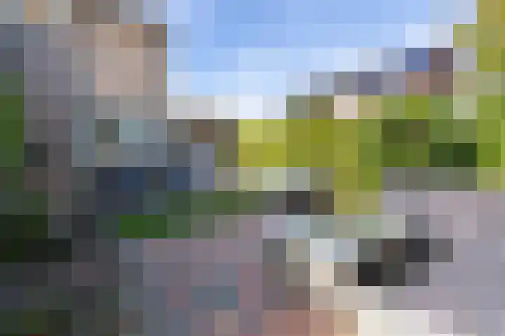 Steenbakkersveld 58 Wehl thumbnail 37