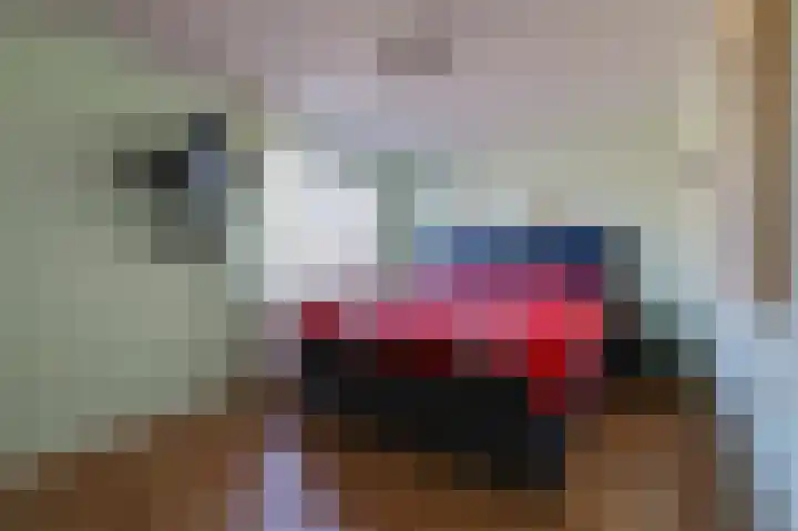 Steenbakkersveld 58 Wehl thumbnail 44