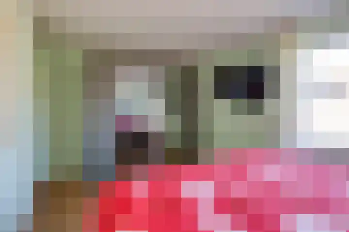 Steenbakkersveld 58 Wehl thumbnail 46