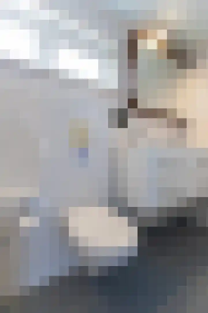 Steenbakkersveld 58 Wehl thumbnail 57