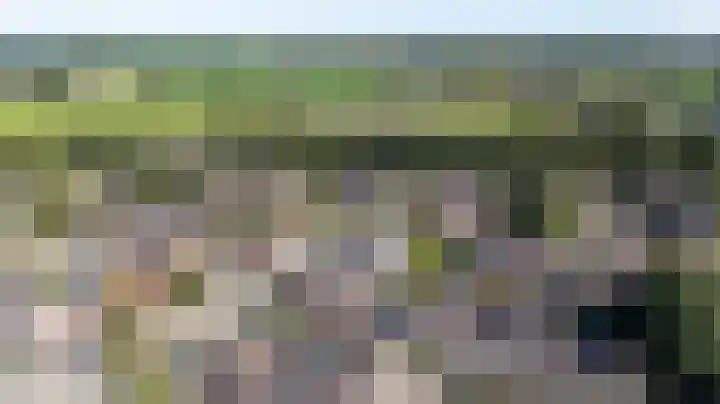 Steenbakkersveld 58 Wehl thumbnail 6