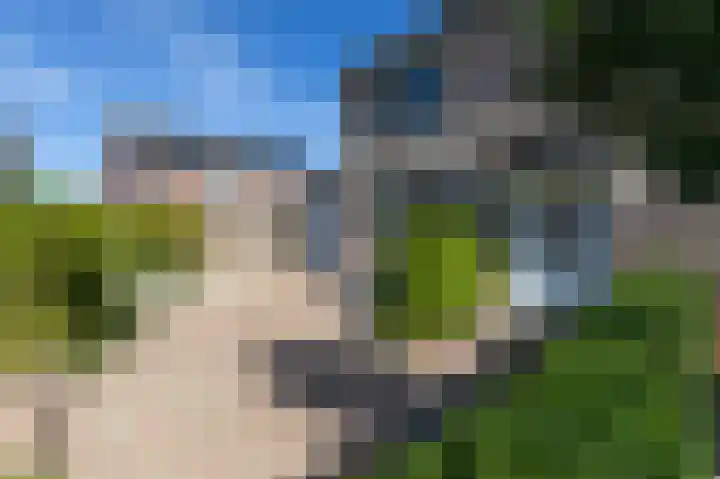 Steenbakkersveld 58 Wehl thumbnail 8