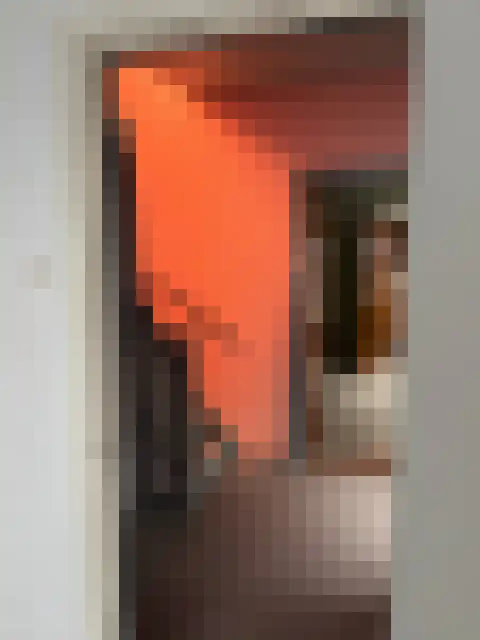 Steenbakkersweg 19 Rheden thumbnail 11