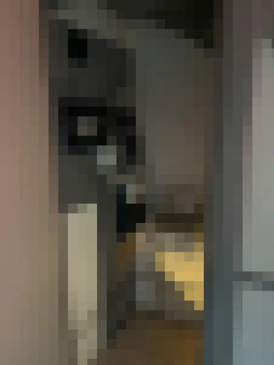 Steenbakkersweg 19 Rheden thumbnail 13