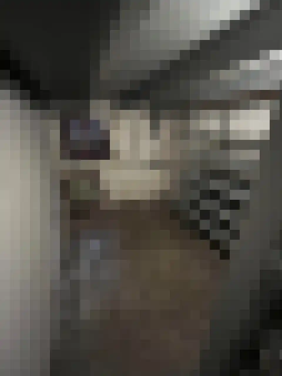 Steenbakkersweg 19 Rheden thumbnail 14