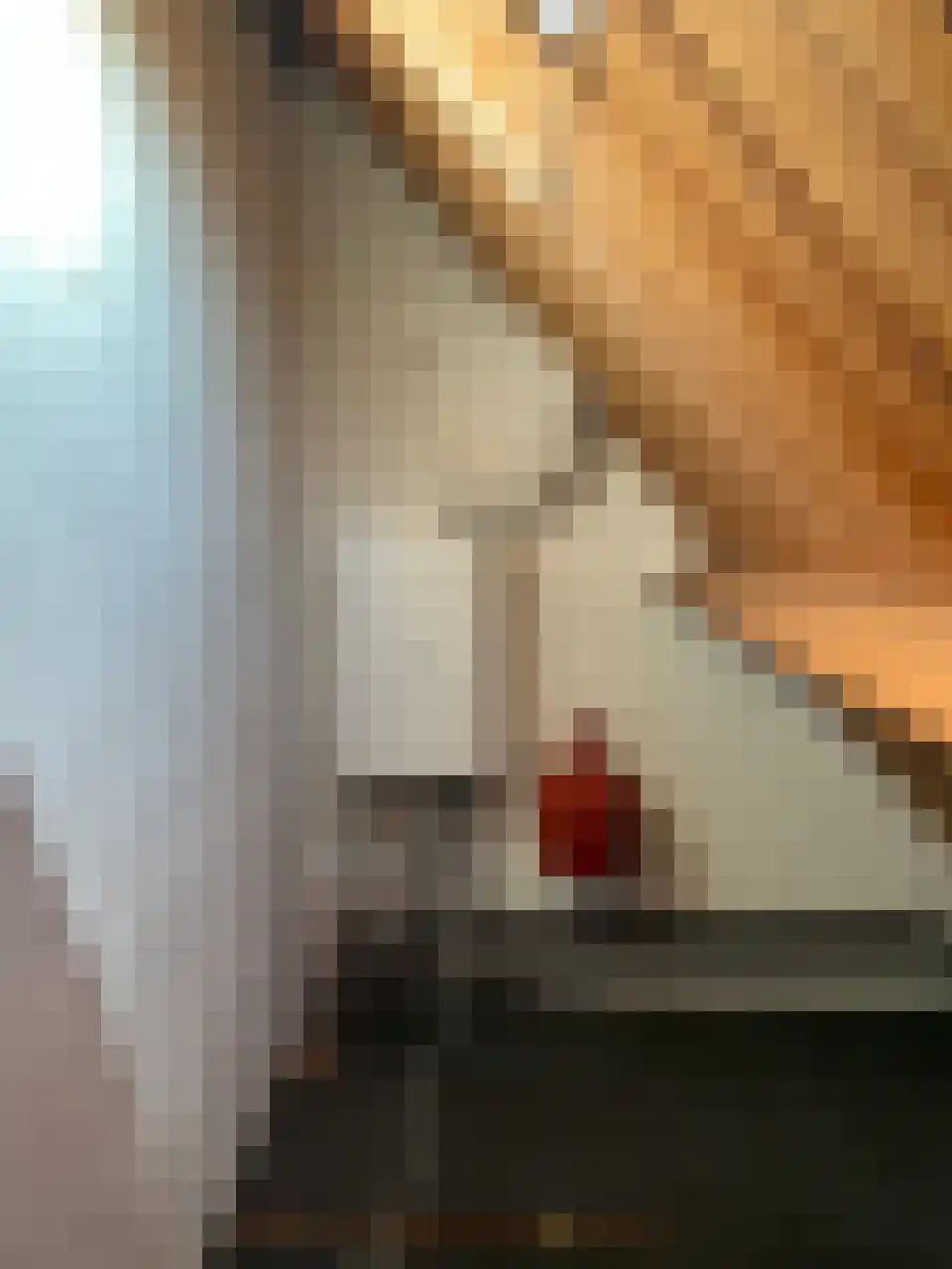 Steenbakkersweg 19 Rheden thumbnail 21