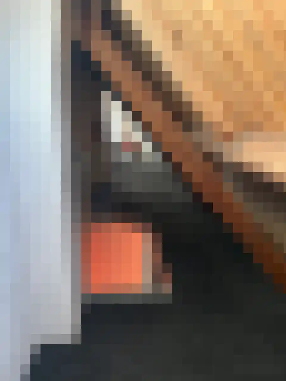 Steenbakkersweg 19 Rheden thumbnail 22