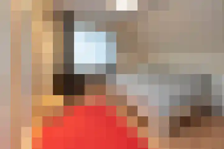 Steenbakkersweg 22 a Rheden thumbnail 10