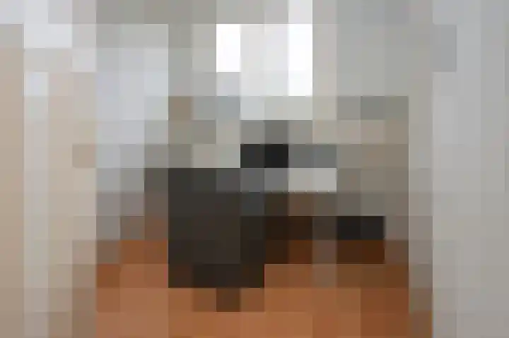 Steenbakkersweg 22 a Rheden thumbnail 11