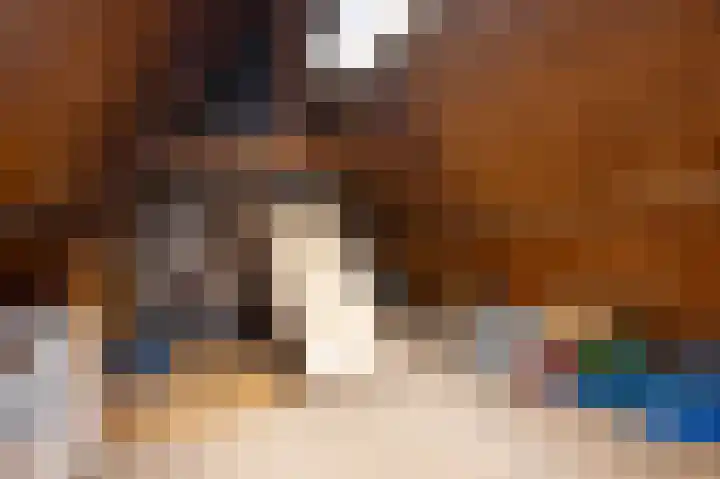 Steenbakkersweg 22 a Rheden thumbnail 14