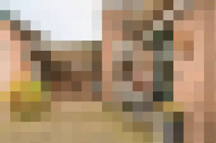 Steenbakkersweg 22 a Rheden thumbnail 17