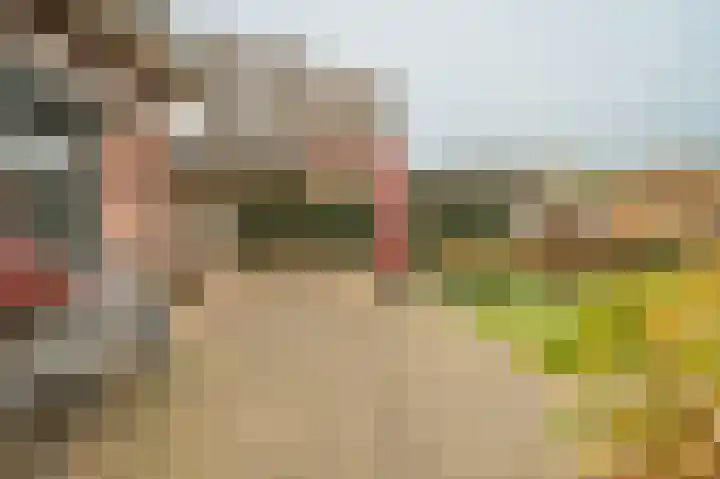 Steenbakkersweg 22 a Rheden thumbnail 18