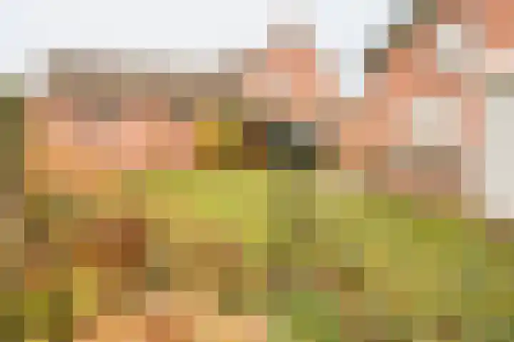Steenbakkersweg 22 a Rheden thumbnail 19