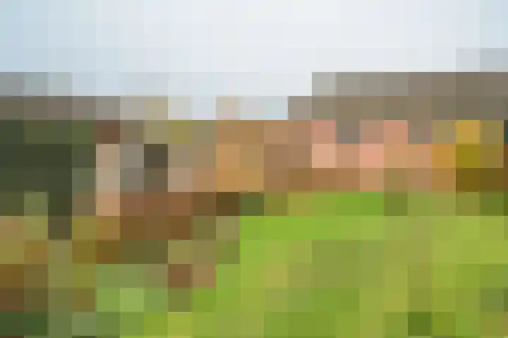 Steenbakkersweg 22 a Rheden thumbnail 20