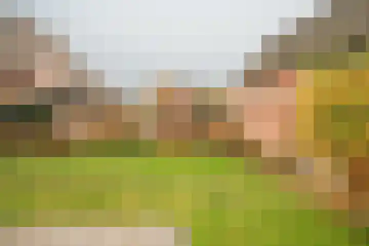 Steenbakkersweg 22 a Rheden thumbnail 21