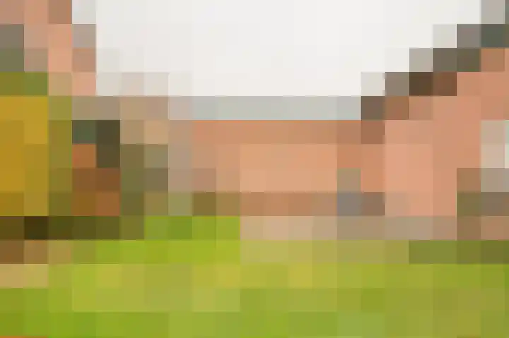 Steenbakkersweg 22 a Rheden thumbnail 22