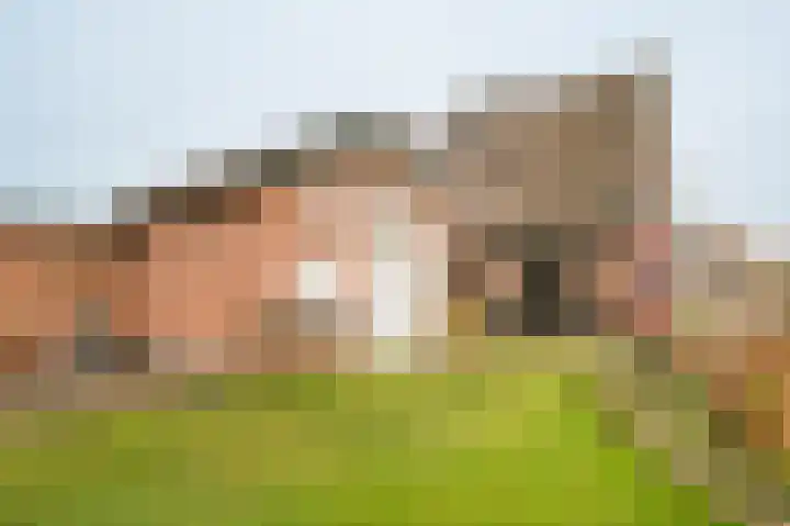Steenbakkersweg 22 a Rheden thumbnail 23