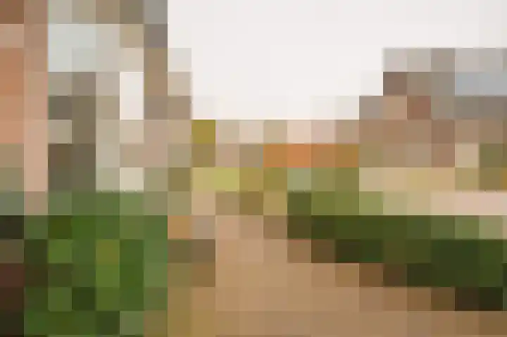 Steenbakkersweg 22 a Rheden thumbnail 26