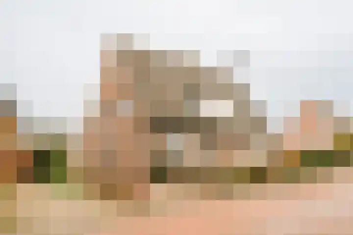 Steenbakkersweg 22 a Rheden thumbnail 29