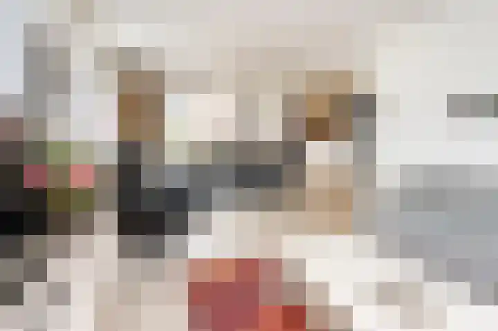 Steenbakkersweg 22 a Rheden thumbnail 4