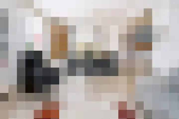 Steenbakkersweg 22 a Rheden thumbnail 5