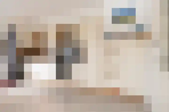 Steenbakkersweg 22 a Rheden thumbnail 6