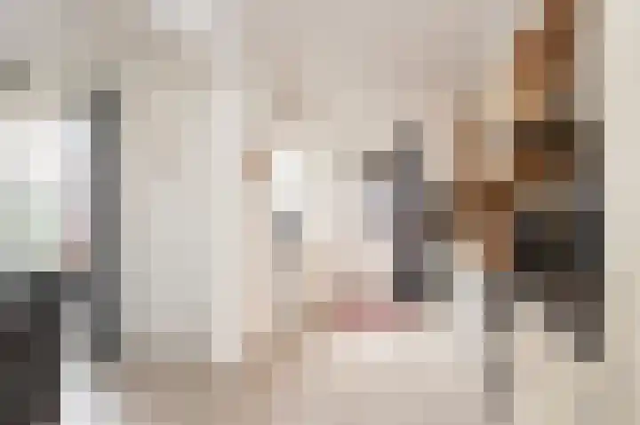 Steenbakkersweg 22 a Rheden thumbnail 7